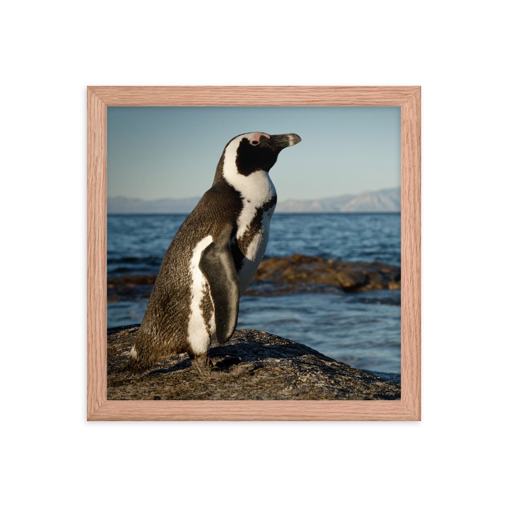 enhanced-matte-paper-framed-poster-(in)-red-oak-12x12-transparent-65c0fbefd0700.jpg