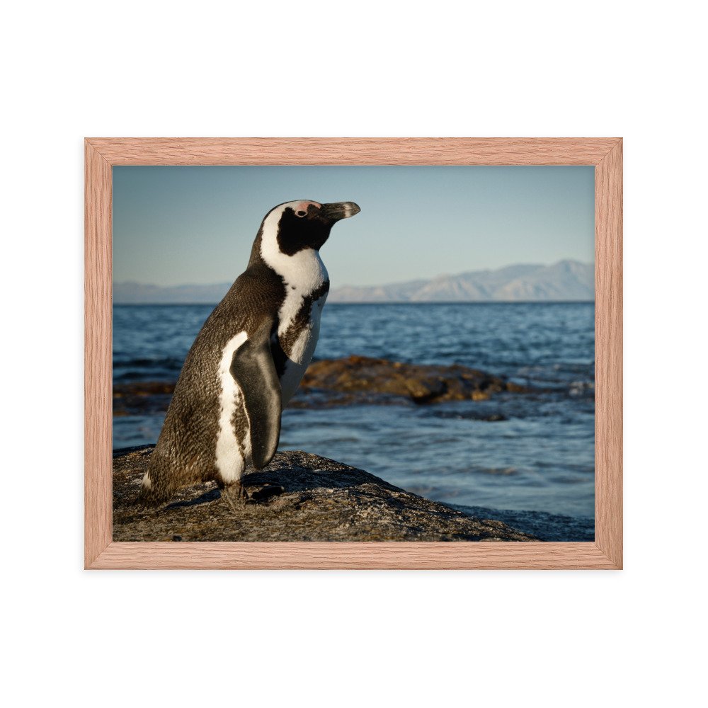 enhanced-matte-paper-framed-poster-(in)-red-oak-11x14-transparent-65c0fbefd07aa.jpg