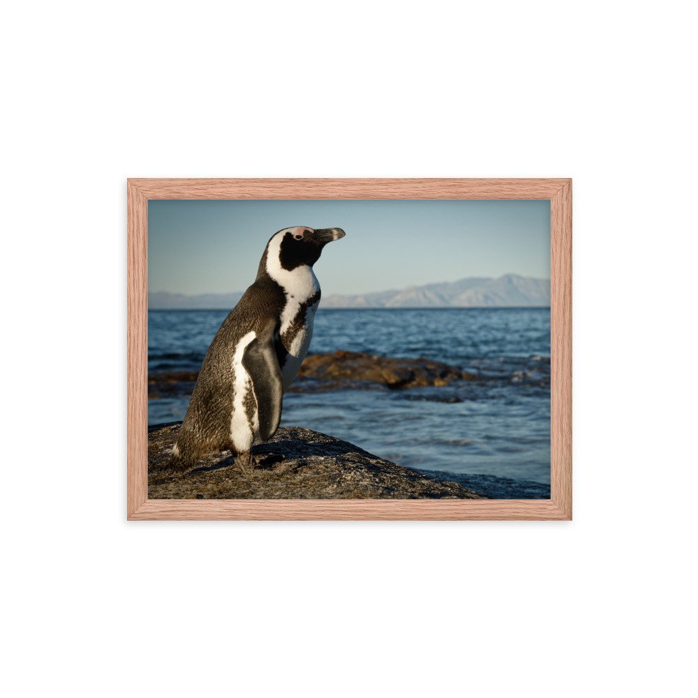 enhanced-matte-paper-framed-poster-(in)-red-oak-12x16-transparent-65c0fbefd085c.jpg