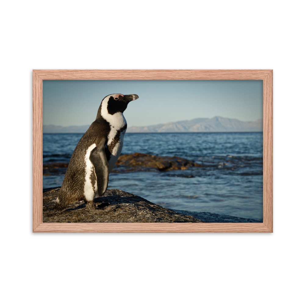 enhanced-matte-paper-framed-poster-(in)-red-oak-12x18-transparent-65c0fbefd090c.jpg