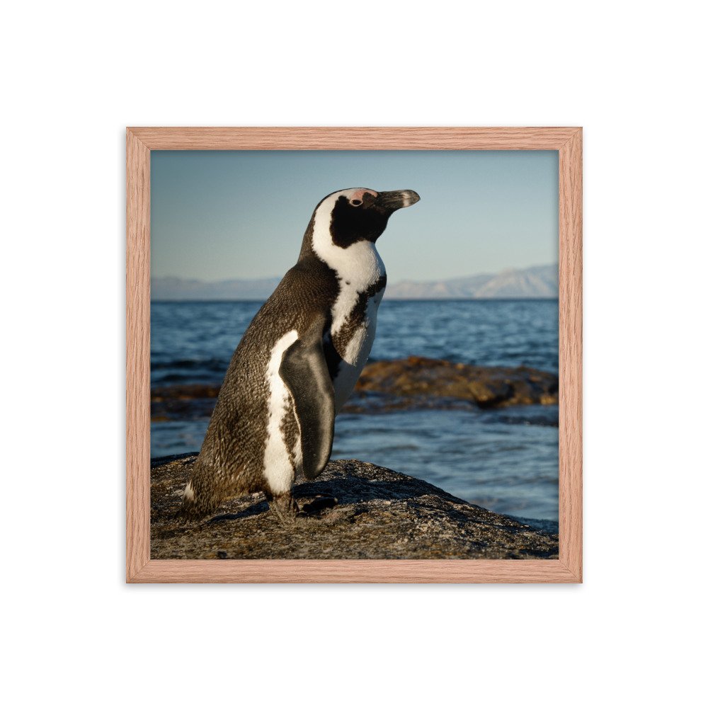 enhanced-matte-paper-framed-poster-(in)-red-oak-14x14-transparent-65c0fbefd09bf.jpg