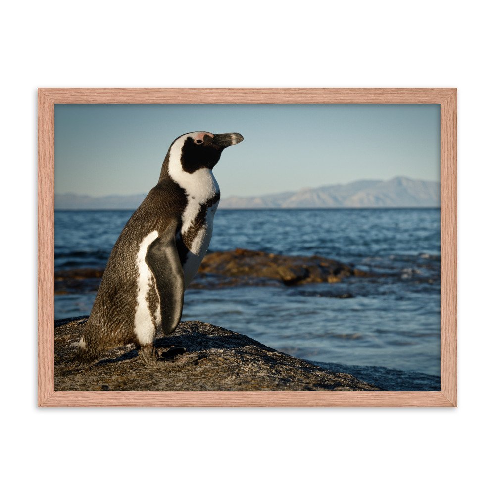 enhanced-matte-paper-framed-poster-(in)-red-oak-18x24-transparent-65c0fbefd0c98.jpg