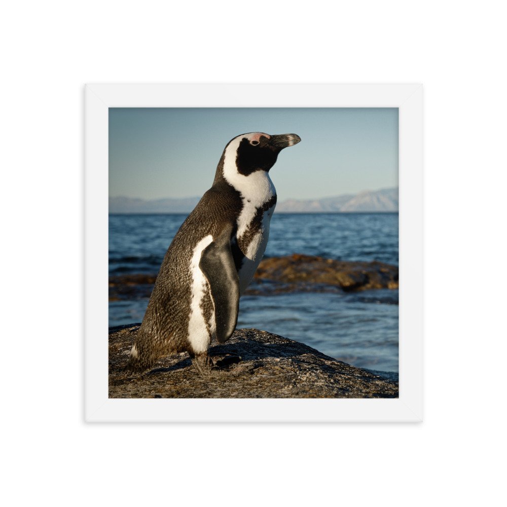 enhanced-matte-paper-framed-poster-(in)-white-10x10-transparent-65c0fbefd0e20.jpg