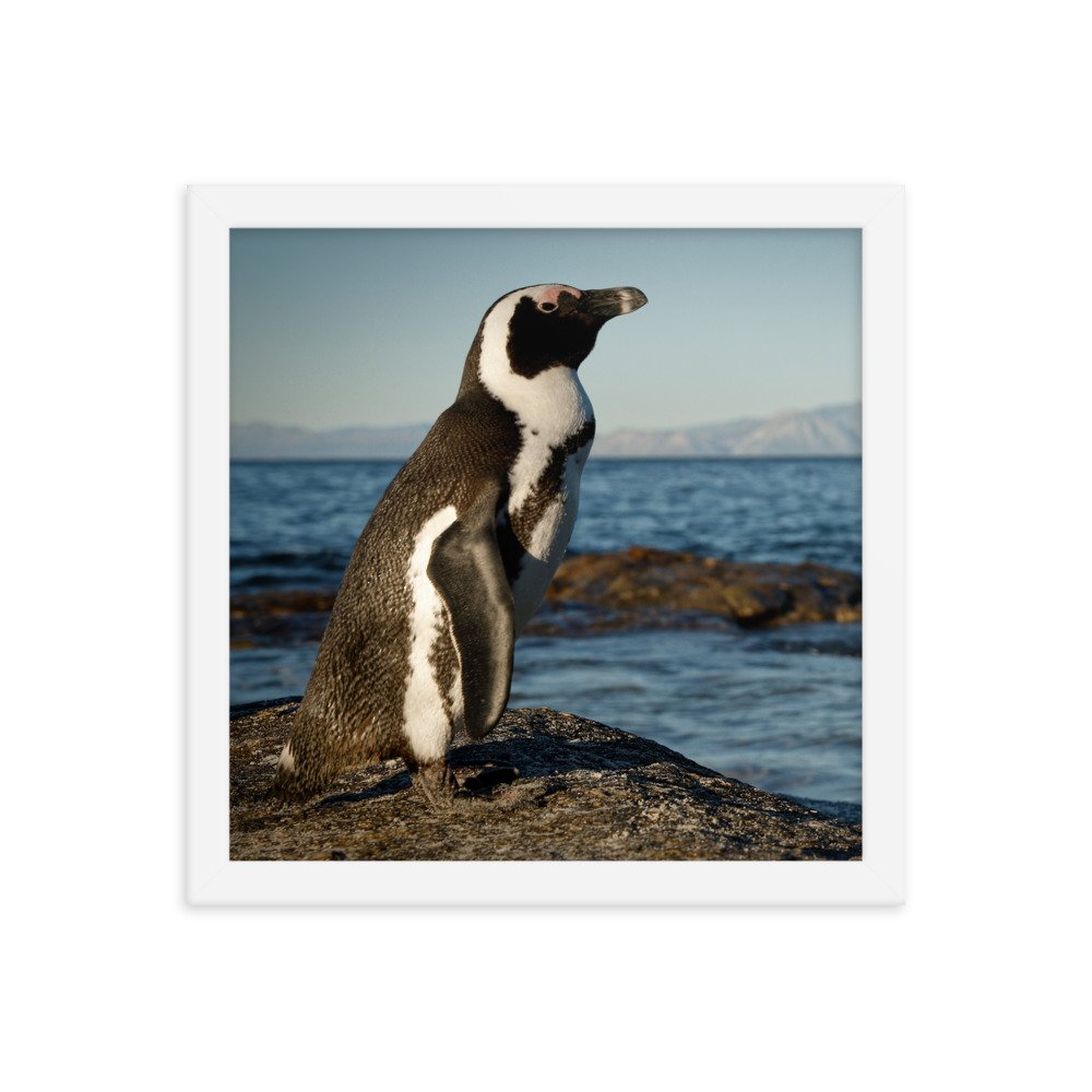 enhanced-matte-paper-framed-poster-(in)-white-12x12-transparent-65c0fbefd0ed0.jpg