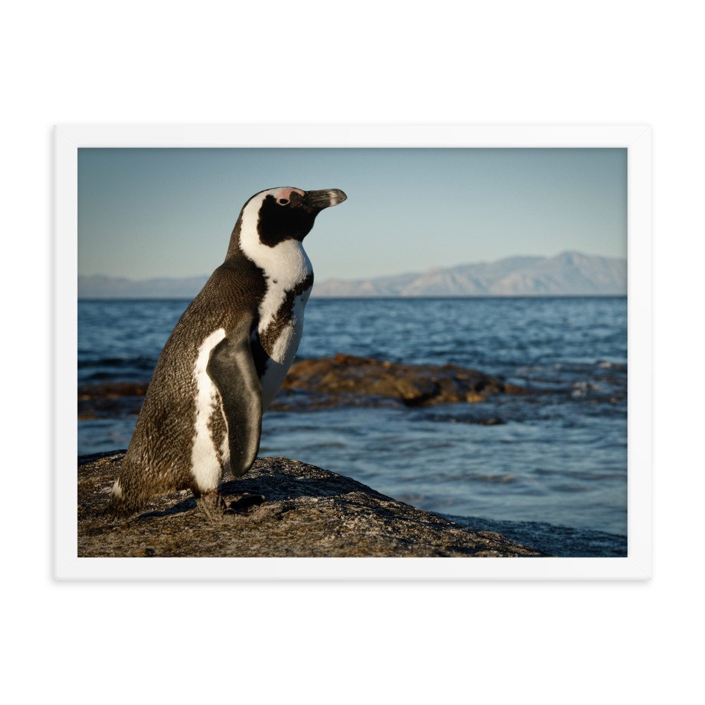 enhanced-matte-paper-framed-poster-(in)-white-18x24-transparent-65c0fbefd25c3.jpg