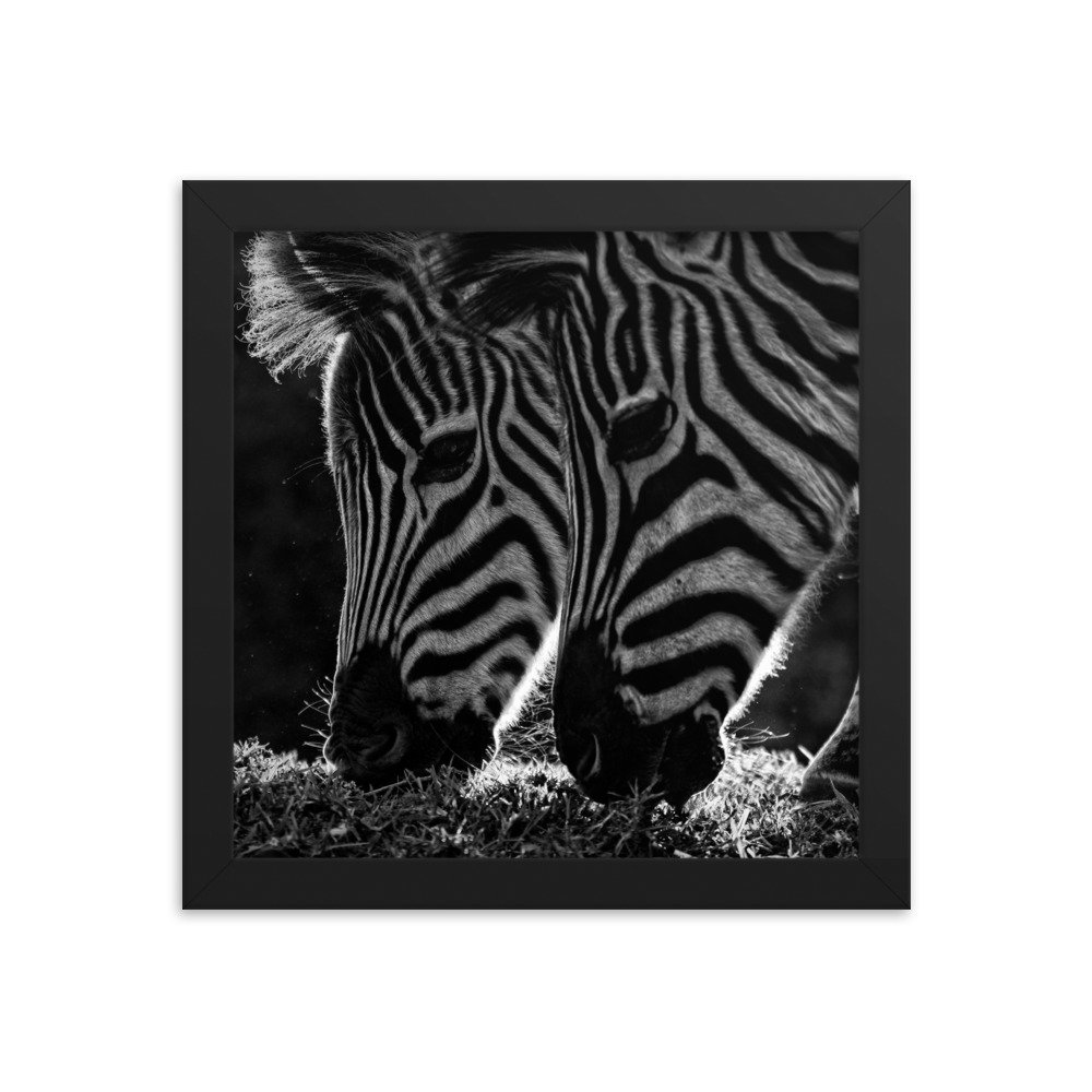 enhanced-matte-paper-framed-poster-(in)-black-10x10-transparent-65c0fbf312709.jpg