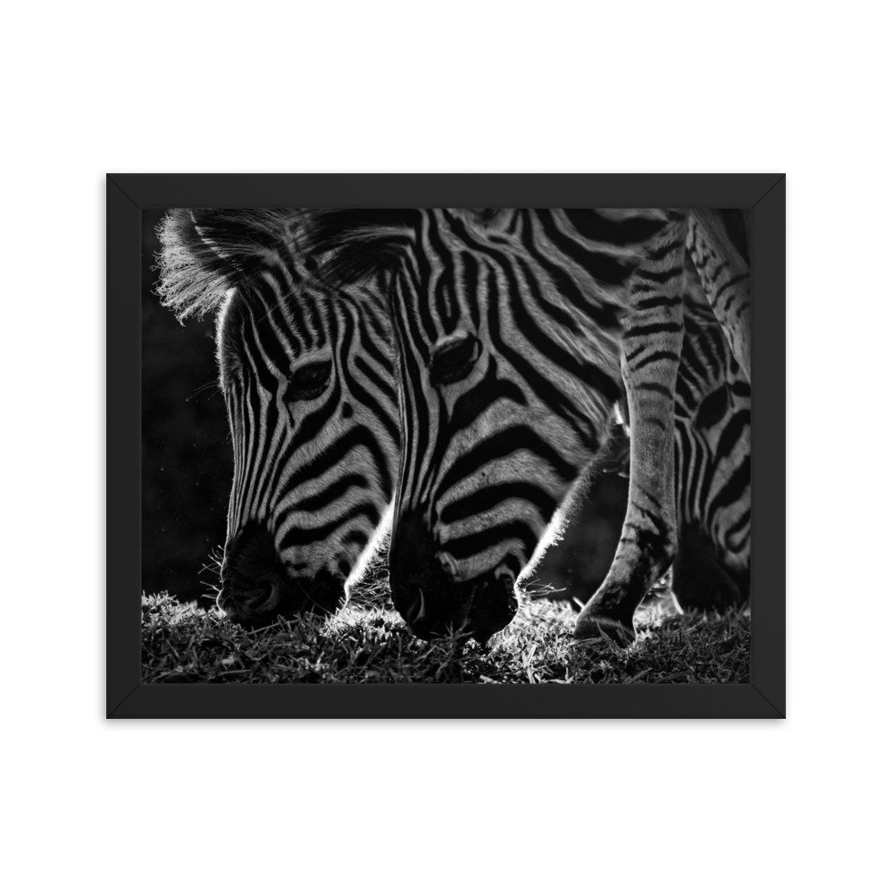 enhanced-matte-paper-framed-poster-(in)-black-11x14-transparent-65c0fbf31283d.jpg