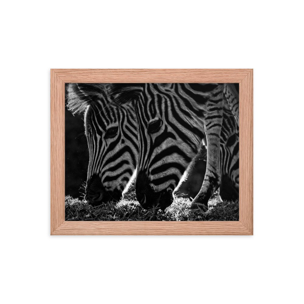 enhanced-matte-paper-framed-poster-(in)-red-oak-8x10-transparent-65c0fbf312c8e.jpg