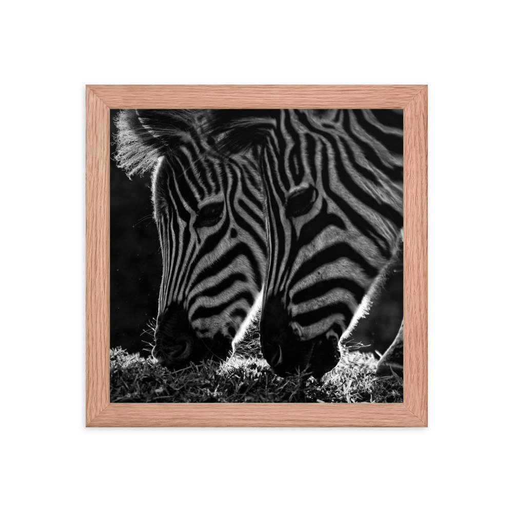 enhanced-matte-paper-framed-poster-(in)-red-oak-10x10-transparent-65c0fbf312d42.jpg