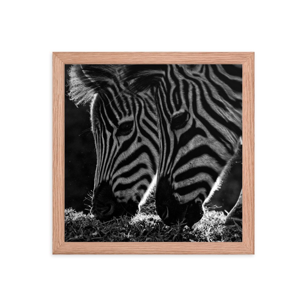 enhanced-matte-paper-framed-poster-(in)-red-oak-12x12-transparent-65c0fbf312db8.jpg