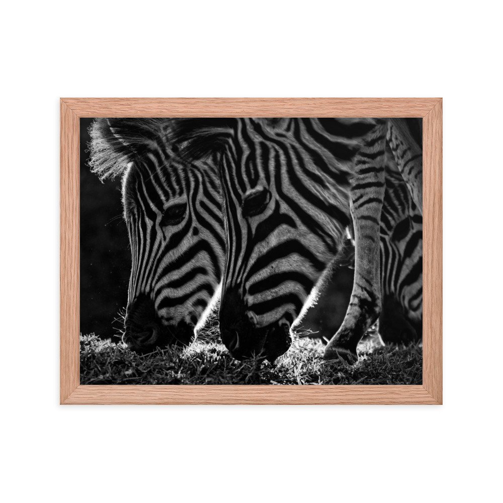 enhanced-matte-paper-framed-poster-(in)-red-oak-11x14-transparent-65c0fbf312e21.jpg