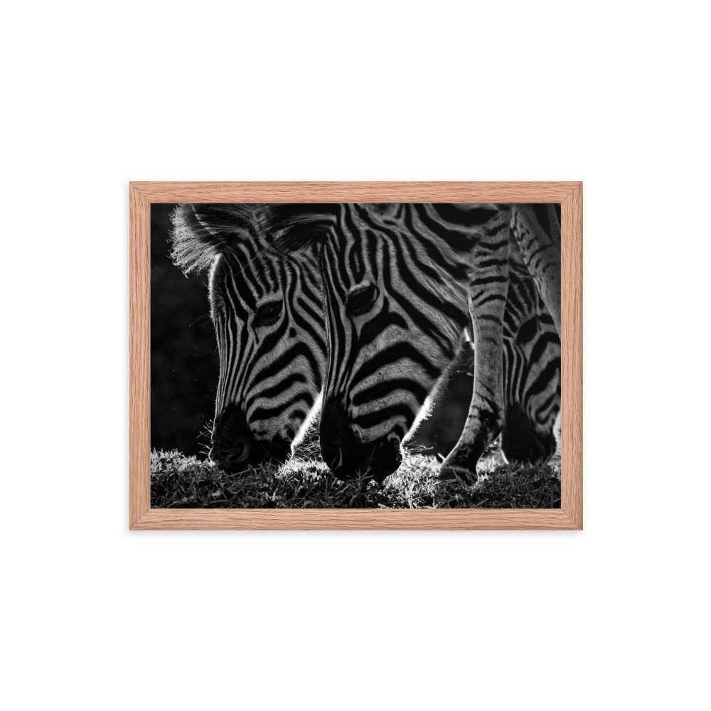 enhanced-matte-paper-framed-poster-(in)-red-oak-12x16-transparent-65c0fbf312e86.jpg