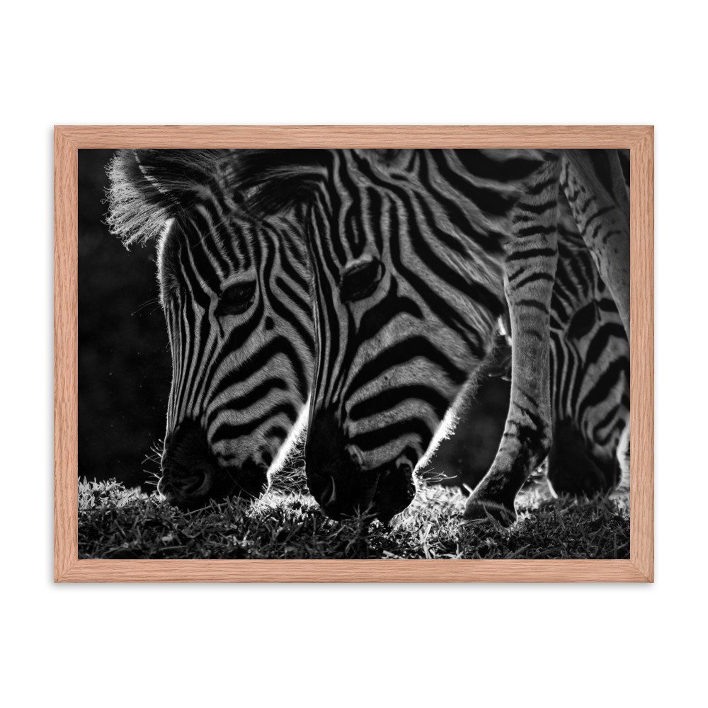 enhanced-matte-paper-framed-poster-(in)-red-oak-18x24-transparent-65c0fbf313101.jpg