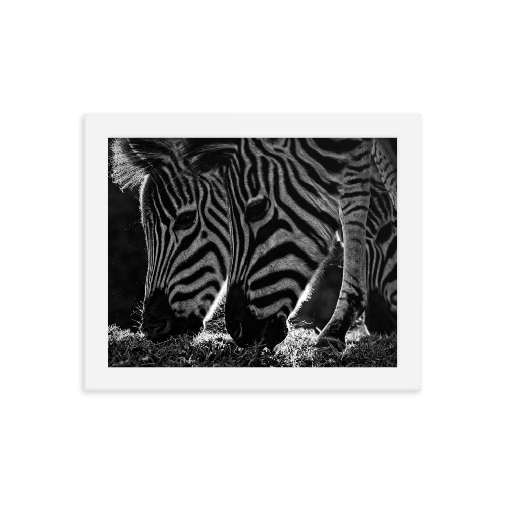 enhanced-matte-paper-framed-poster-(in)-white-8x10-transparent-65c0fbf31320d.jpg