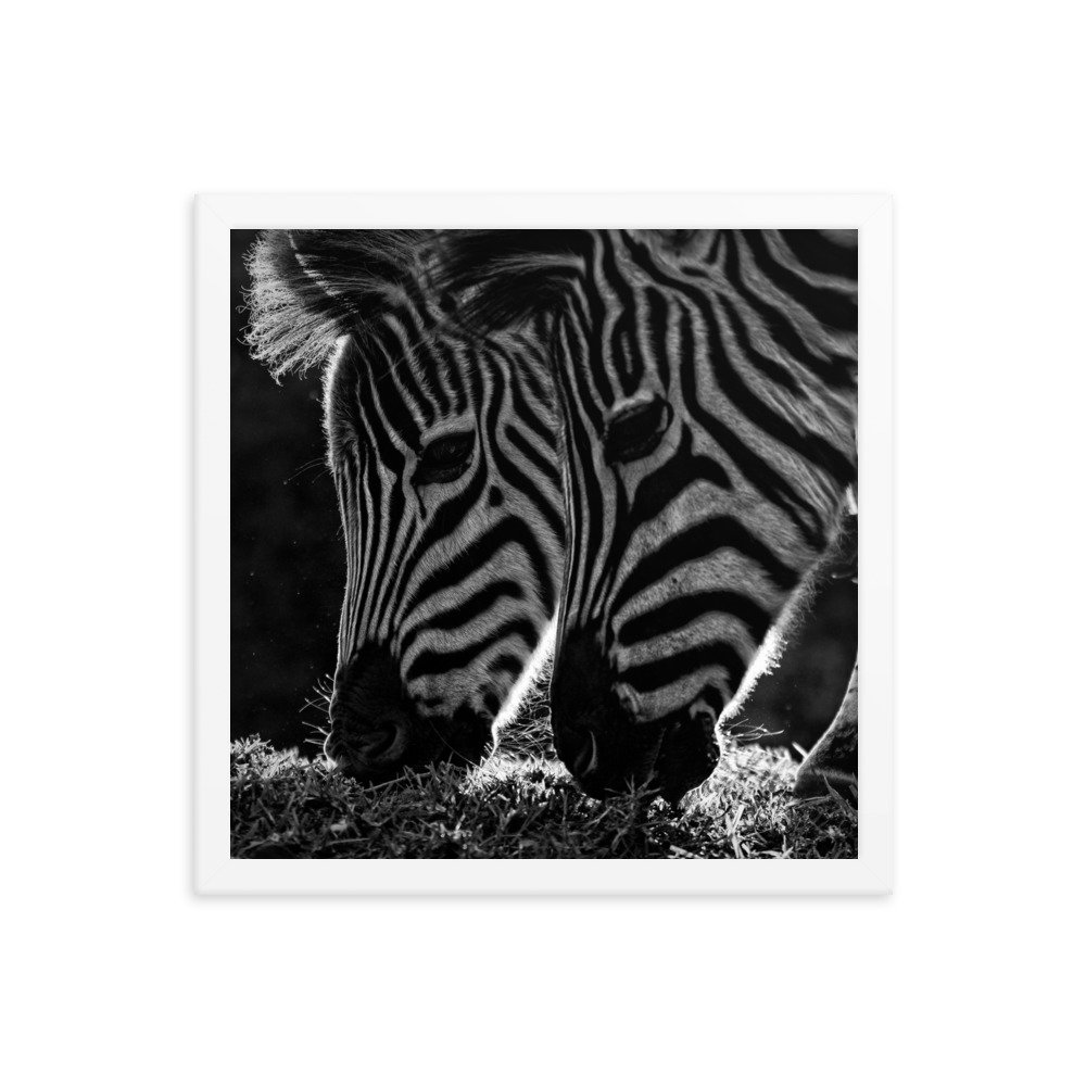 enhanced-matte-paper-framed-poster-(in)-white-14x14-transparent-65c0fbf31350a.jpg