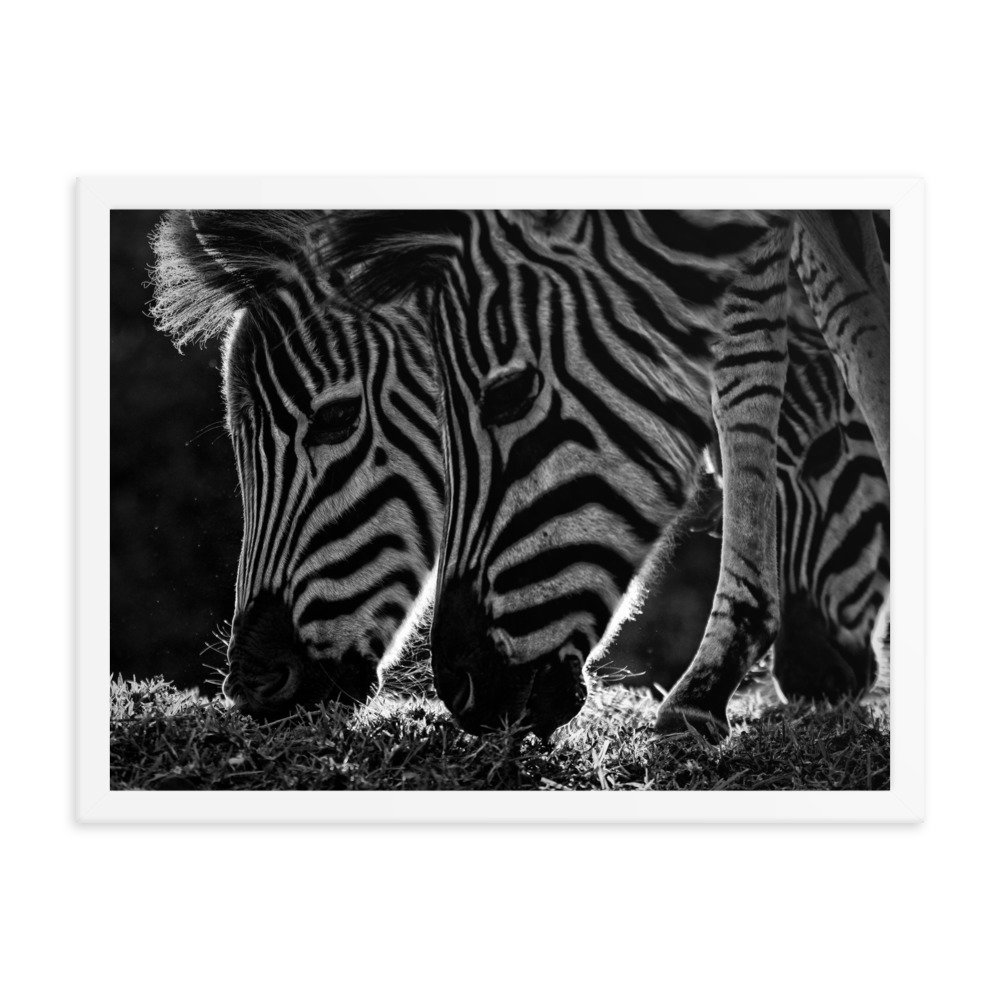 enhanced-matte-paper-framed-poster-(in)-white-18x24-transparent-65c0fbf31378d.jpg