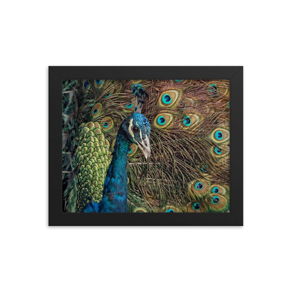 enhanced-matte-paper-framed-poster-(in)-black-8x10-transparent-65c0fc59e0d5f.jpg