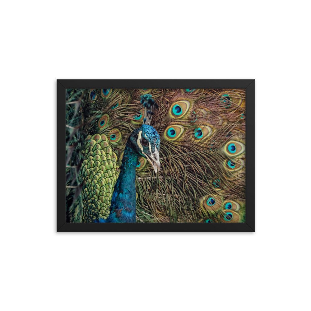 enhanced-matte-paper-framed-poster-(in)-black-12x16-transparent-65c0fc59e0f5c.jpg