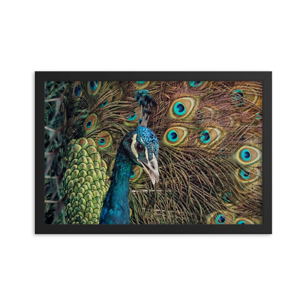 enhanced-matte-paper-framed-poster-(in)-black-12x18-transparent-65c0fc59e0fd5.jpg