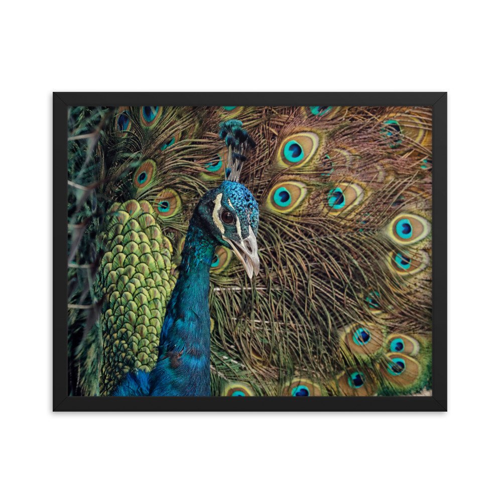 enhanced-matte-paper-framed-poster-(in)-black-16x20-transparent-65c0fc59e111a.jpg