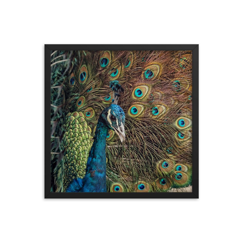 enhanced-matte-paper-framed-poster-(in)-black-18x18-transparent-65c0fc59e1188.jpg