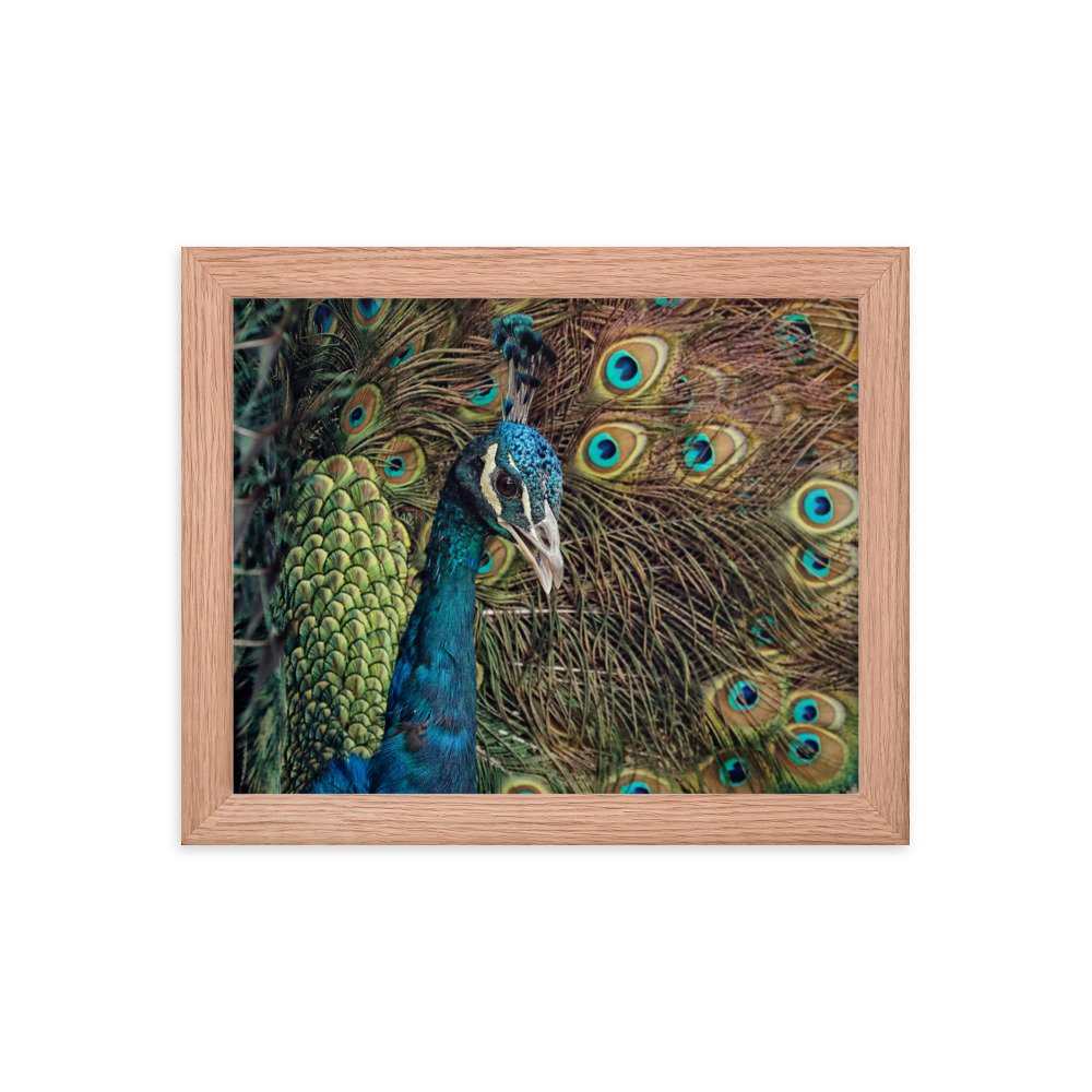 enhanced-matte-paper-framed-poster-(in)-red-oak-8x10-transparent-65c0fc59e122f.jpg