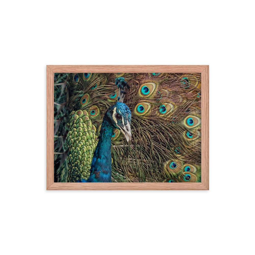 enhanced-matte-paper-framed-poster-(in)-red-oak-12x16-transparent-65c0fc59e13e2.jpg