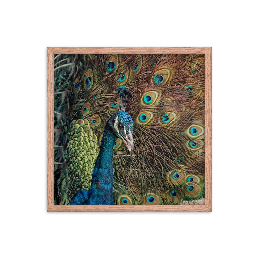 enhanced-matte-paper-framed-poster-(in)-red-oak-18x18-transparent-65c0fc59e1636.jpg