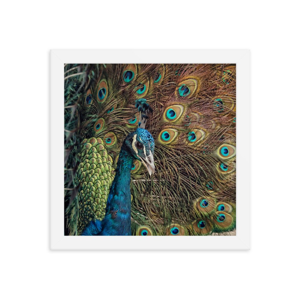 enhanced-matte-paper-framed-poster-(in)-white-10x10-transparent-65c0fc59e178c.jpg