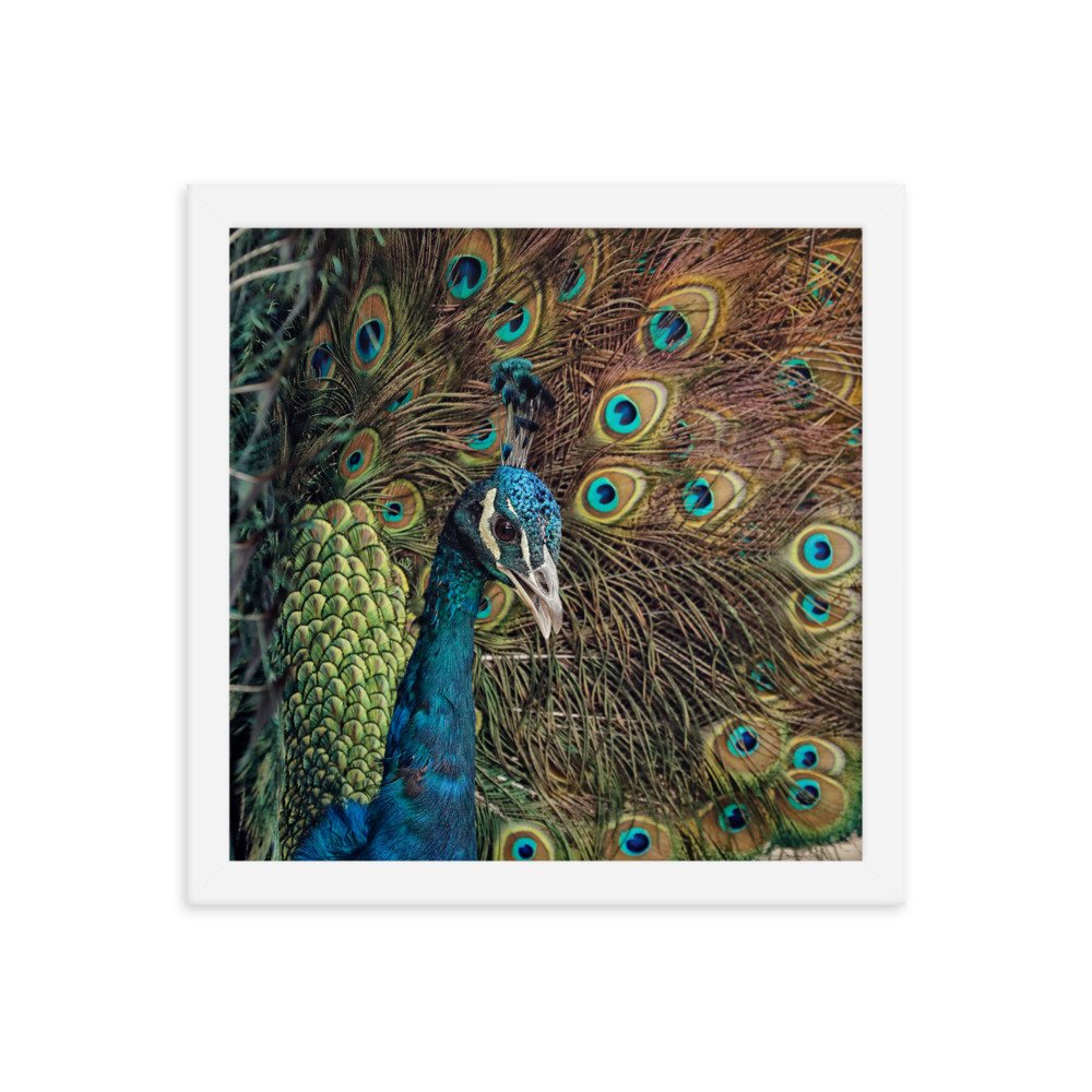 enhanced-matte-paper-framed-poster-(in)-white-12x12-transparent-65c0fc59e1810.jpg