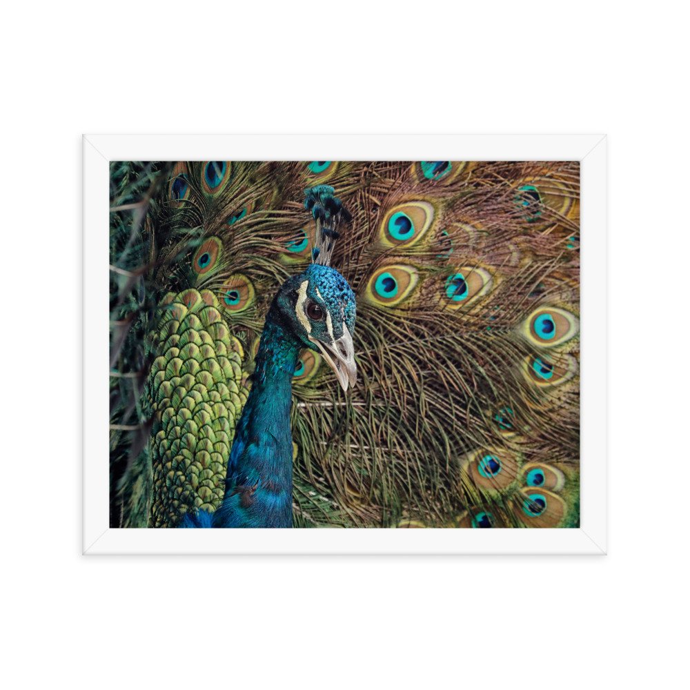 enhanced-matte-paper-framed-poster-(in)-white-11x14-transparent-65c0fc59e187c.jpg