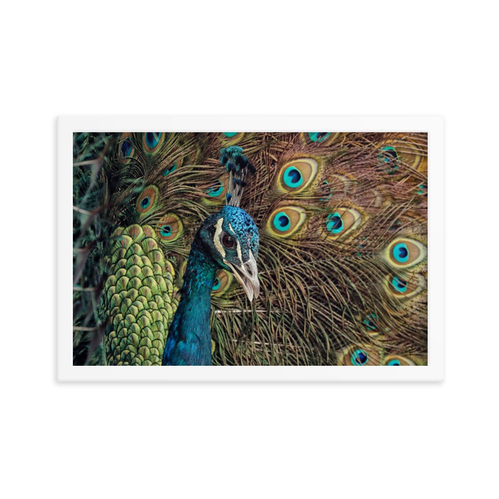 enhanced-matte-paper-framed-poster-(in)-white-12x18-transparent-65c0fc59e195e.jpg