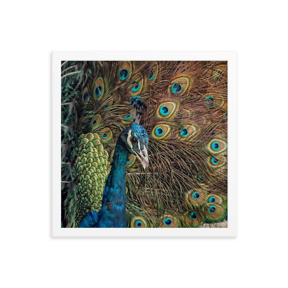 enhanced-matte-paper-framed-poster-(in)-white-14x14-transparent-65c0fc59e19d4.jpg