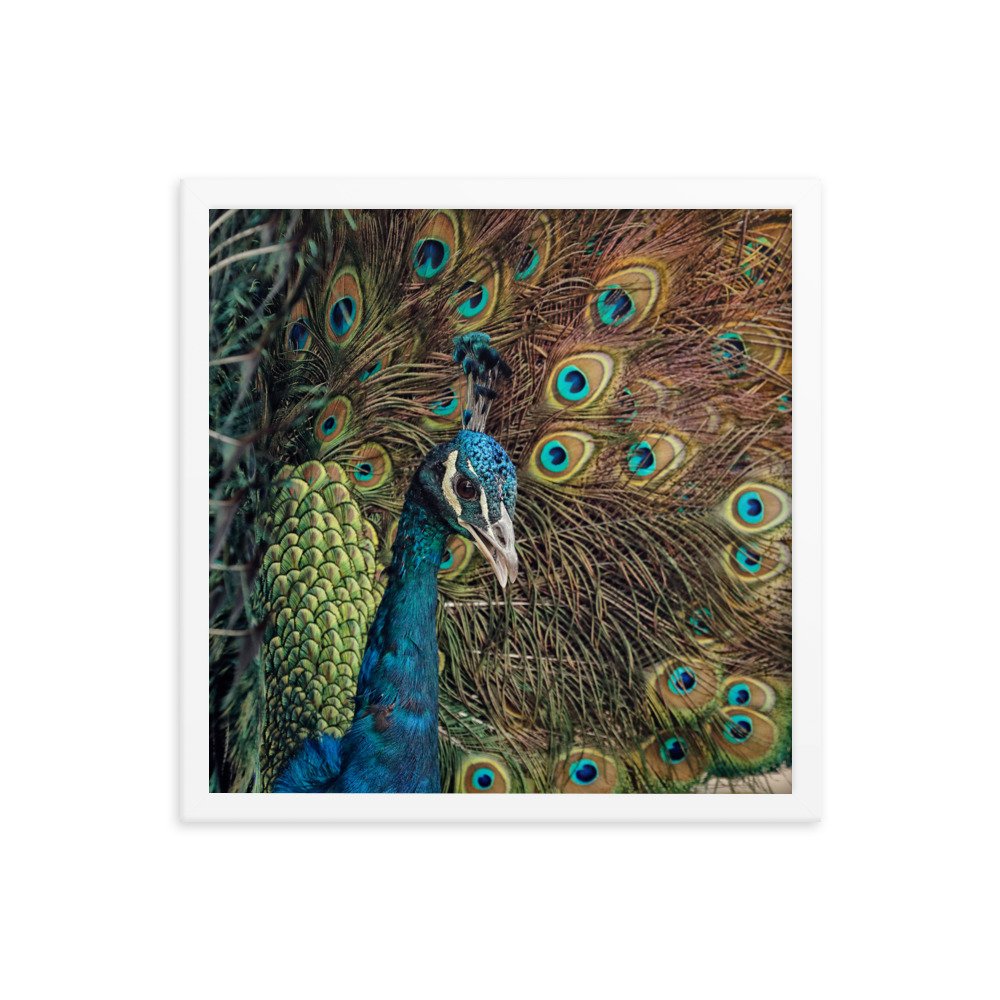 enhanced-matte-paper-framed-poster-(in)-white-16x16-transparent-65c0fc59e1a45.jpg