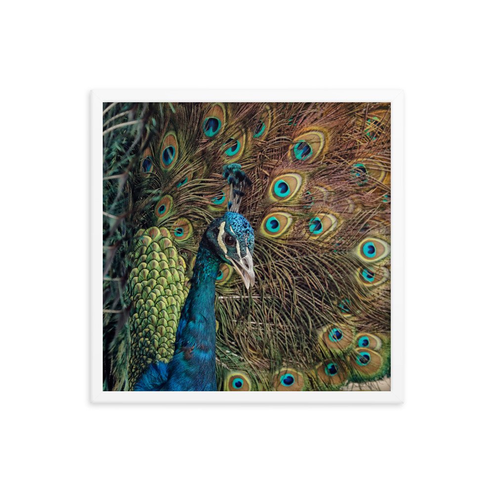 enhanced-matte-paper-framed-poster-(in)-white-18x18-transparent-65c0fc59e1b1e.jpg