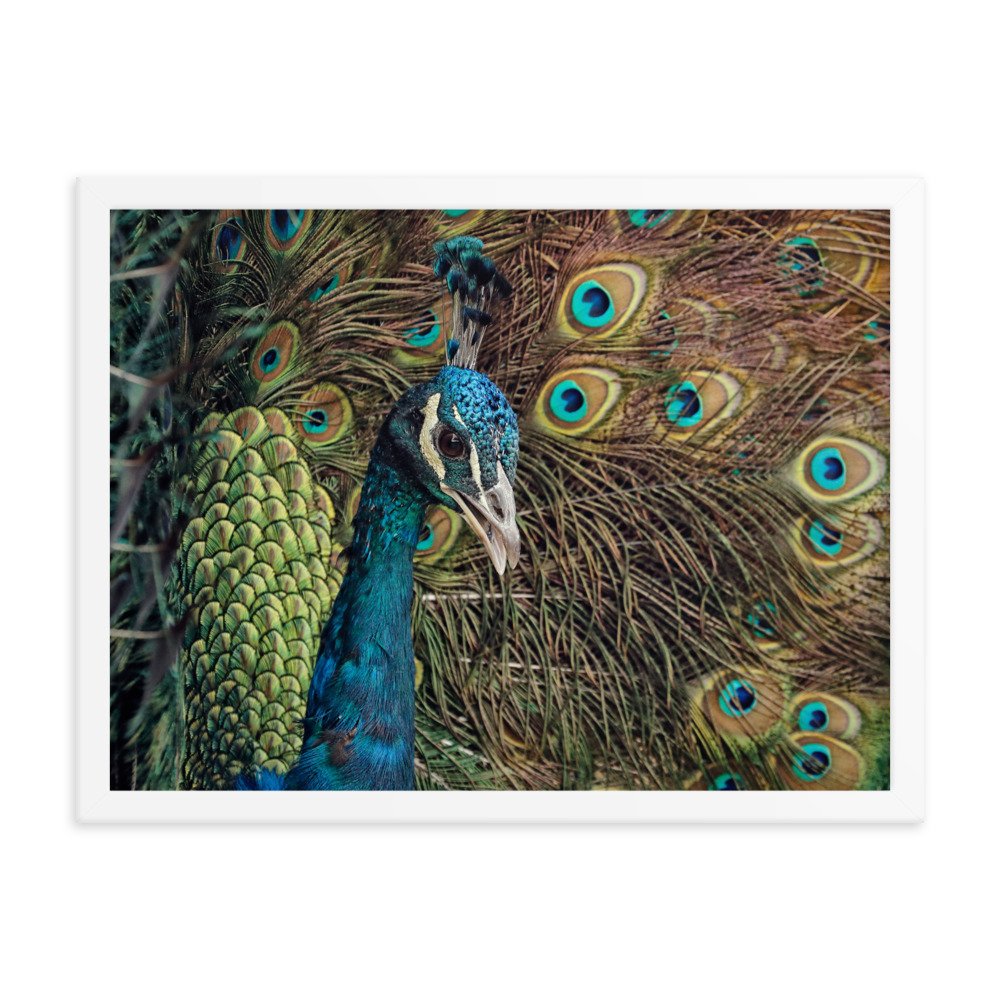 enhanced-matte-paper-framed-poster-(in)-white-18x24-transparent-65c0fc59e1b85.jpg