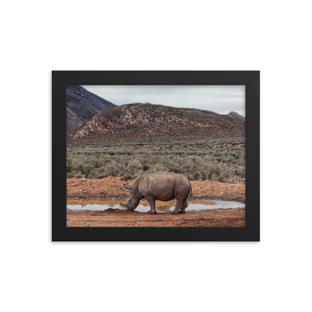 enhanced-matte-paper-framed-poster-(in)-black-8x10-transparent-65c0fc746e2df.jpg