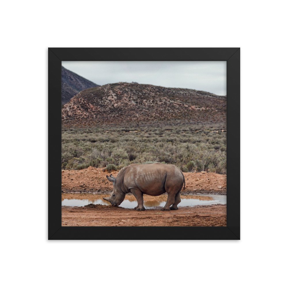 enhanced-matte-paper-framed-poster-(in)-black-10x10-transparent-65c0fc746e3f6.jpg