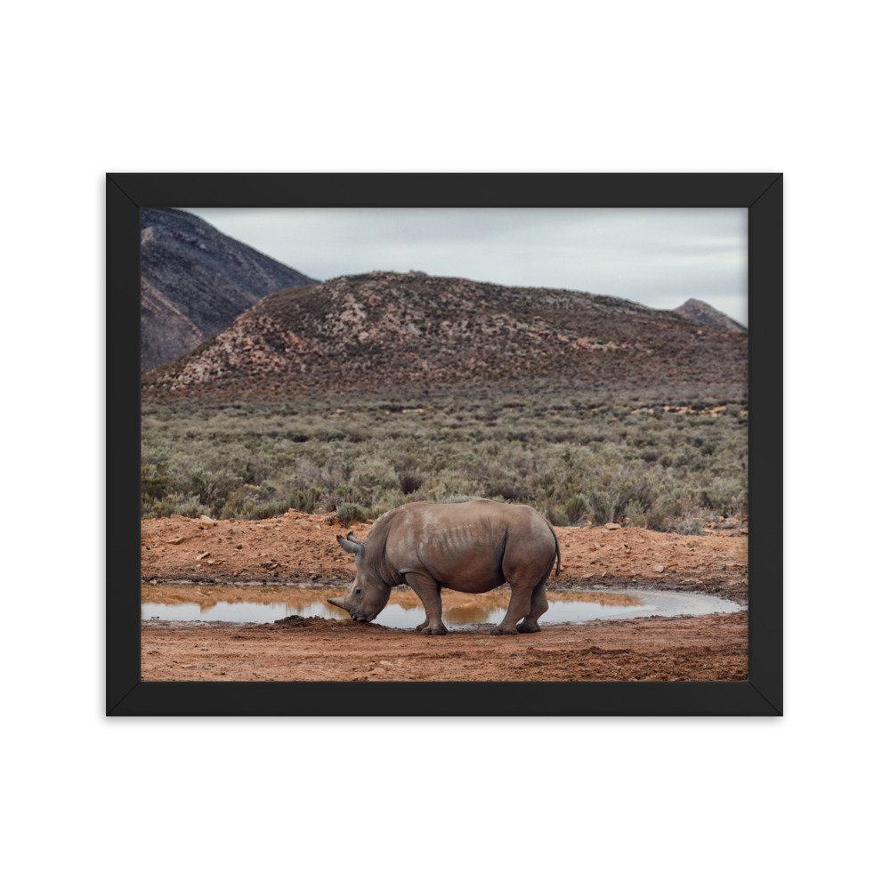 enhanced-matte-paper-framed-poster-(in)-black-11x14-transparent-65c0fc746e566.jpg