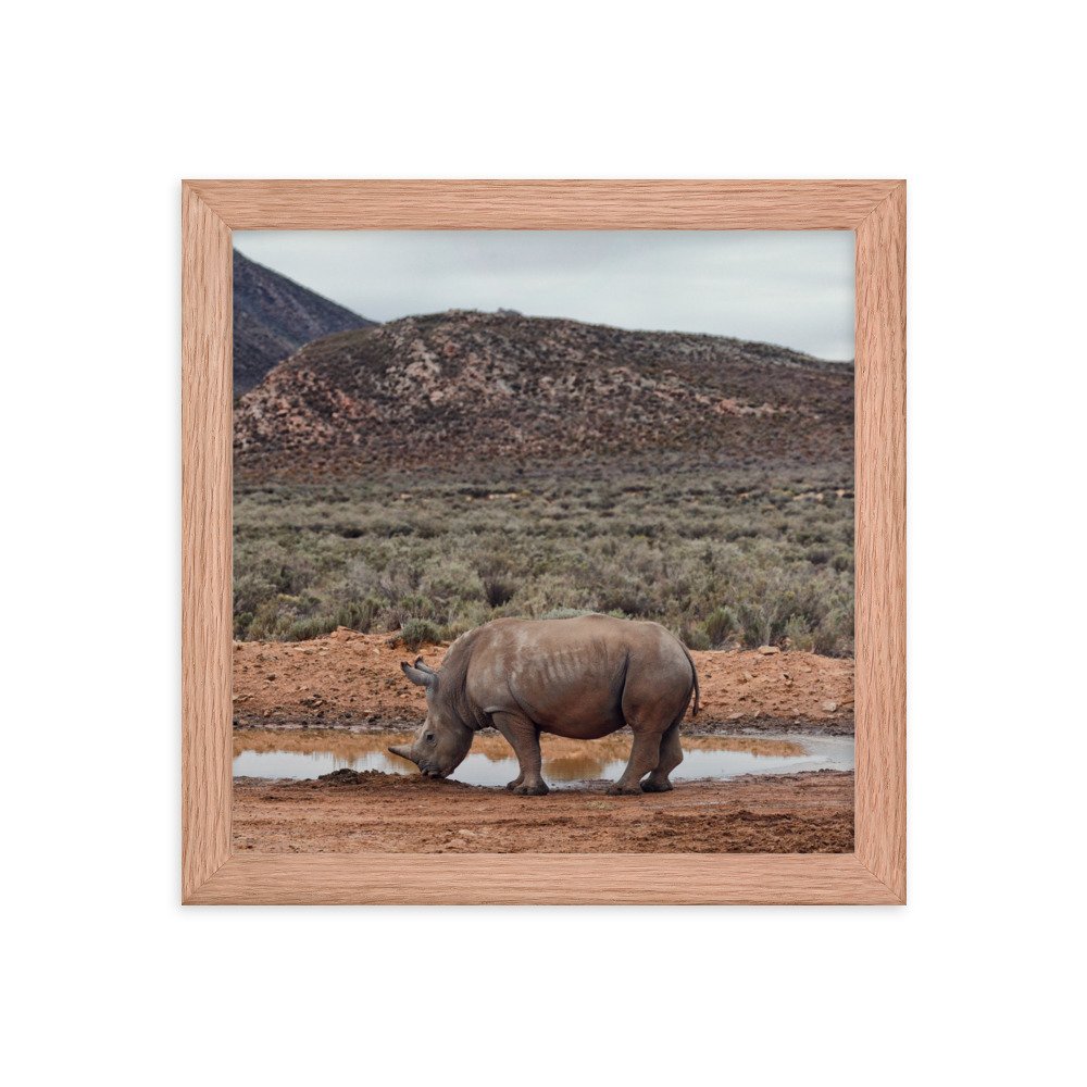 enhanced-matte-paper-framed-poster-(in)-red-oak-10x10-transparent-65c0fc746ed5d.jpg
