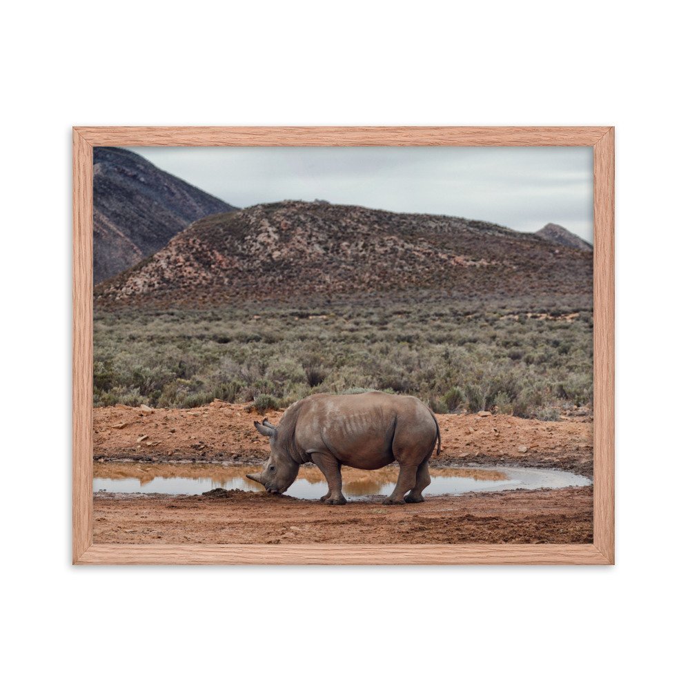 enhanced-matte-paper-framed-poster-(in)-red-oak-16x20-transparent-65c0fc746f337.jpg