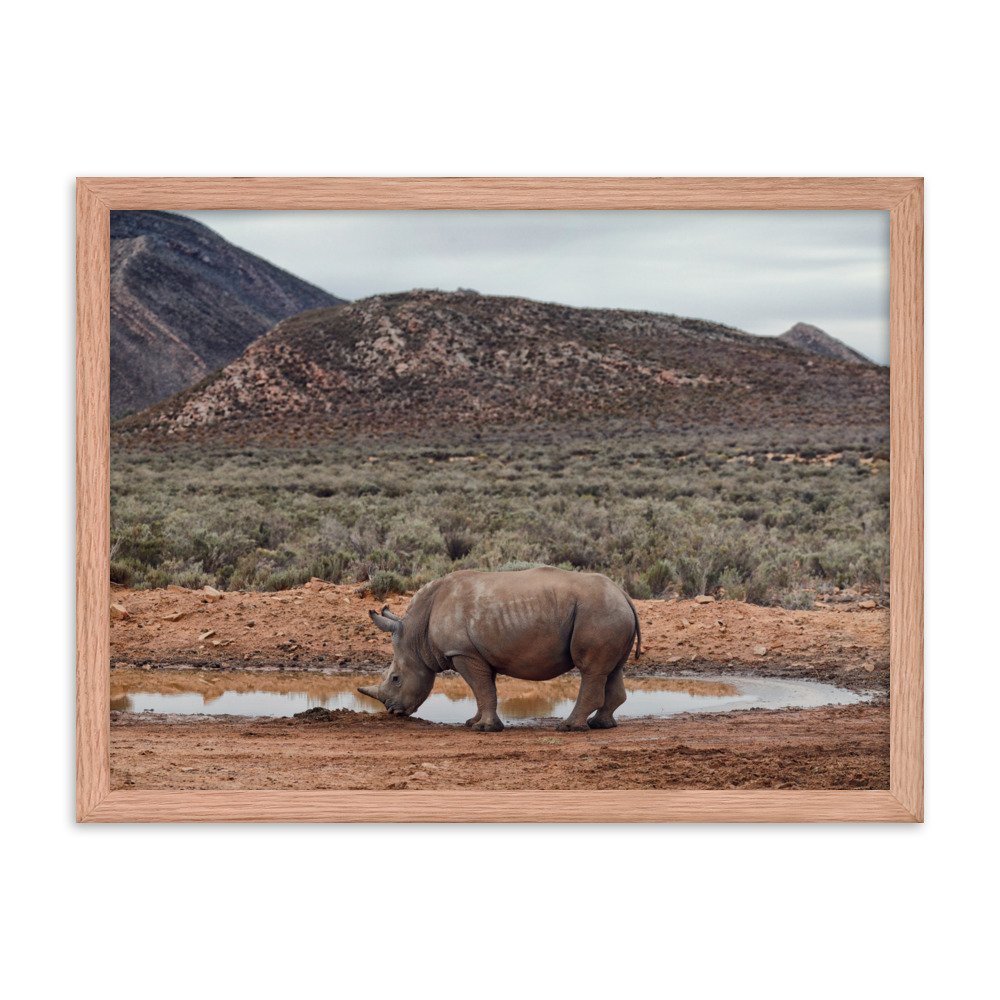 enhanced-matte-paper-framed-poster-(in)-red-oak-18x24-transparent-65c0fc746f49f.jpg