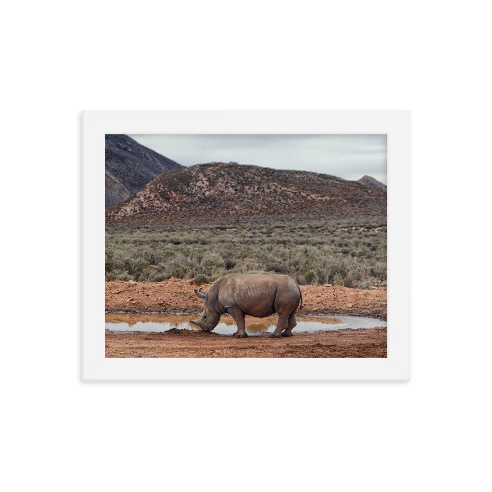 enhanced-matte-paper-framed-poster-(in)-white-8x10-transparent-65c0fc746f5e6.jpg