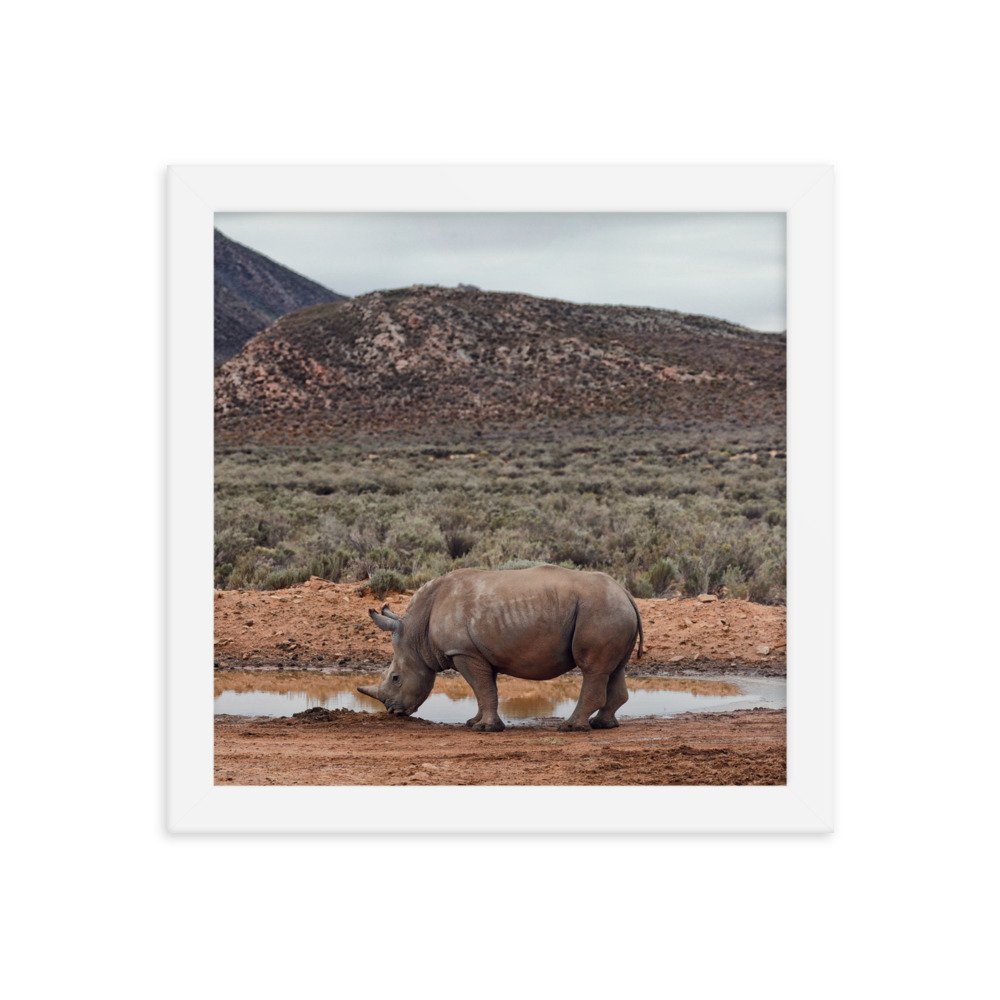 enhanced-matte-paper-framed-poster-(in)-white-10x10-transparent-65c0fc746f682.jpg