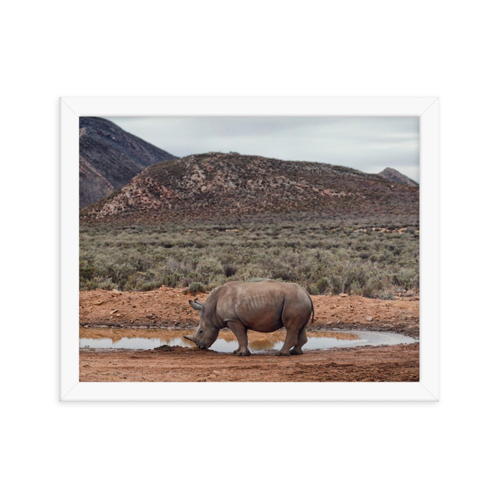 enhanced-matte-paper-framed-poster-(in)-white-11x14-transparent-65c0fc746f7d0.jpg