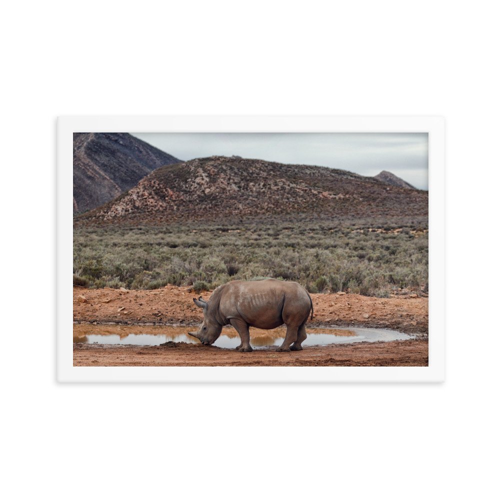 enhanced-matte-paper-framed-poster-(in)-white-12x18-transparent-65c0fc746f912.jpg