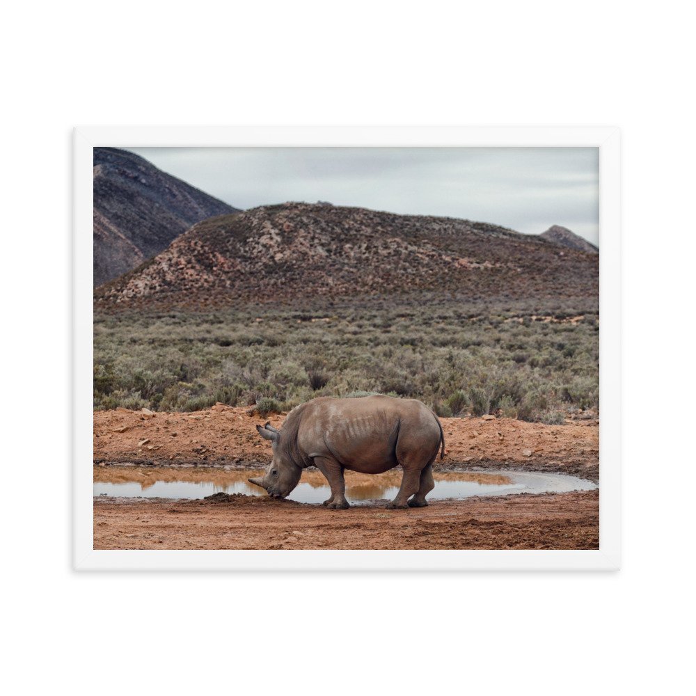 enhanced-matte-paper-framed-poster-(in)-white-16x20-transparent-65c0fc746faf9.jpg