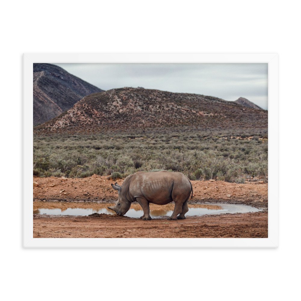 enhanced-matte-paper-framed-poster-(in)-white-18x24-transparent-65c0fc746fc36.jpg