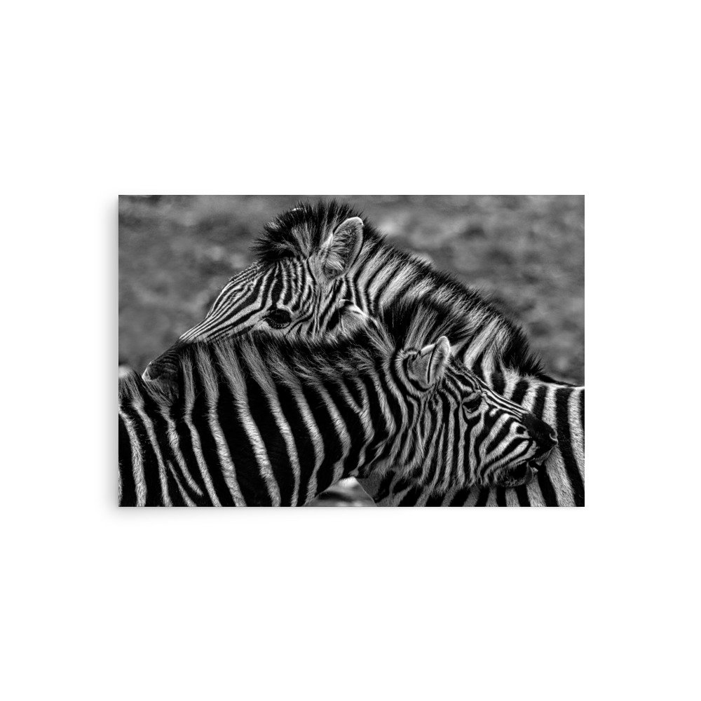 enhanced-matte-paper-poster-(in)-20x30-front-65c21c952cc41.jpg