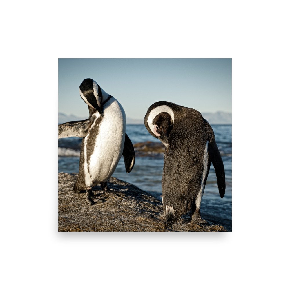 enhanced-matte-paper-poster-(in)-10x10-front-65c21d0ea8f5b.jpg